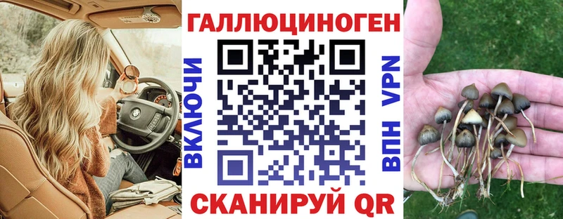 Псилоцибиновые грибы прущие грибы  KRAKEN зеркало  Кемерово 