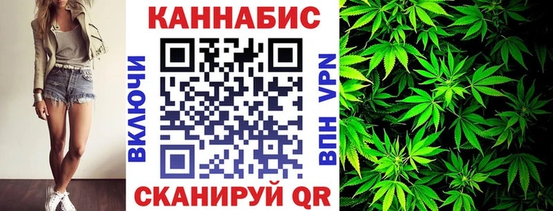 Бошки Шишки семена  где найти наркотики  Кемерово 